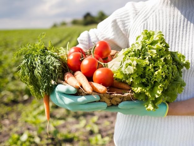 Organic Farming -Cultivating Healthier Lives through Natural Methods