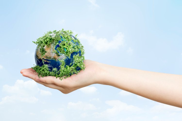 10 Effective Ways to Save the Environment and Protect Our Planet